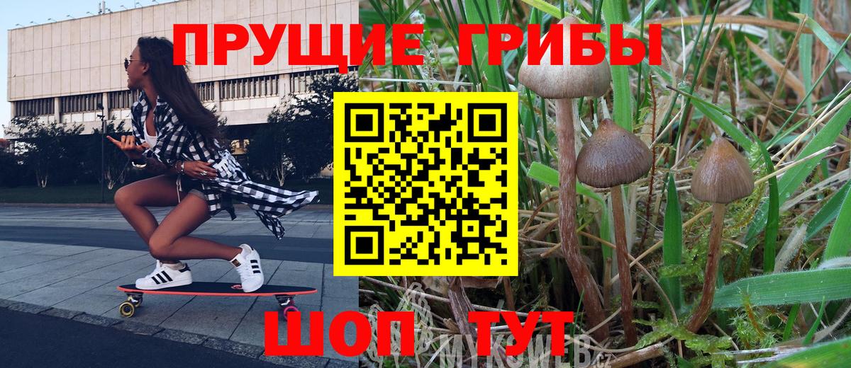 Псилоцибиновые грибы Cubensis Среднеуральск